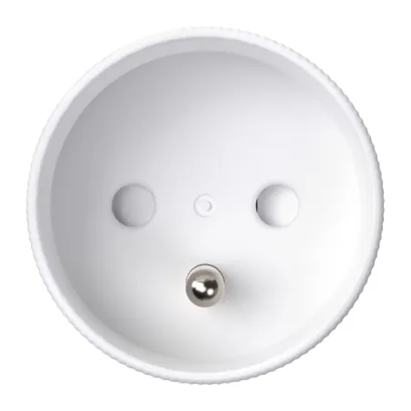 Avatto OT60-FR Smart Socket